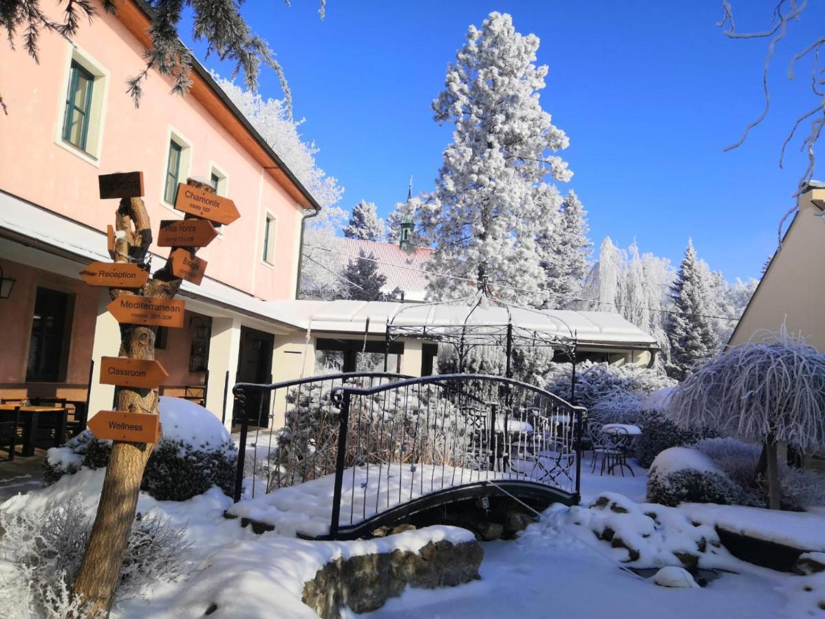 Hotel Via Ironia Vysoké Mýto Bagian luar foto